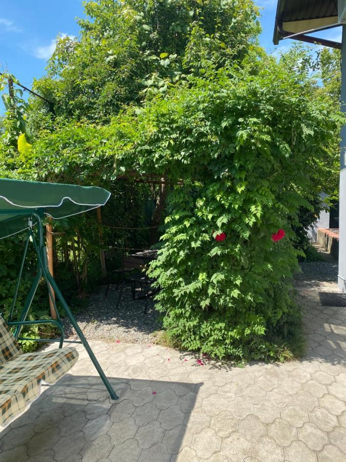 Гостевой Дом «Green Garden» Sukhumi Exteriör bild